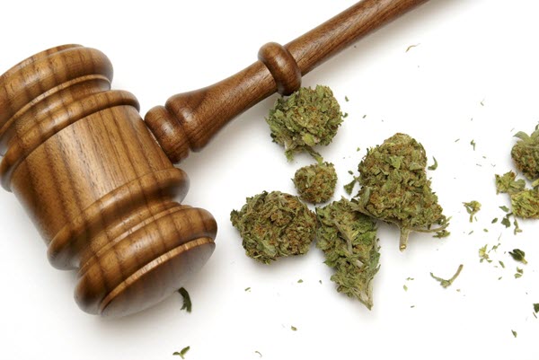 7 surprising health benefits of legal marijuana