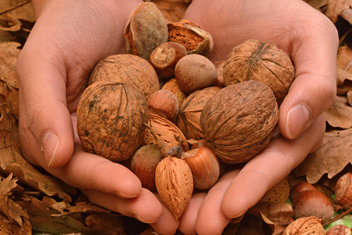 Eat Nuts To Prevent Diabetes And Heart Disease